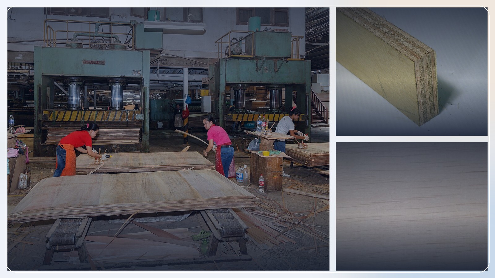 Как выбрать фанеру для пола, опалубки и стройки